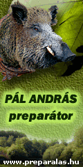 P�l Andr�s prepar�tor, prepar�l�s